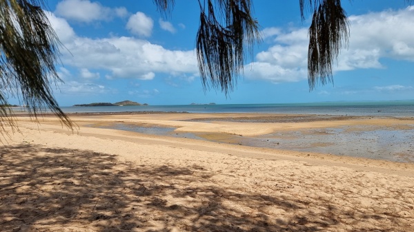 Loyalty Beach Campground QLD - Cape
