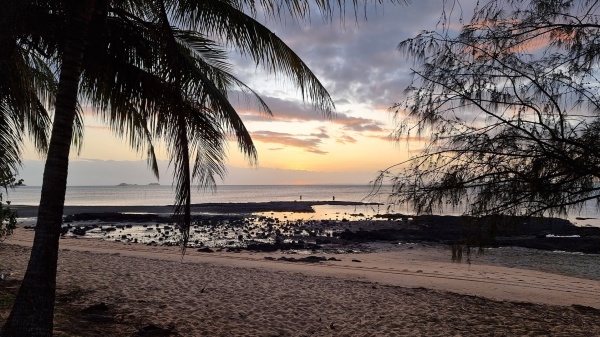 Loyalty Beach Campground QLD - Cape
