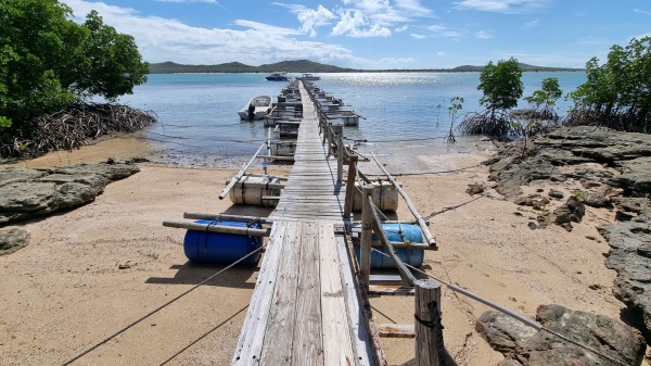 Roko Island QLD
