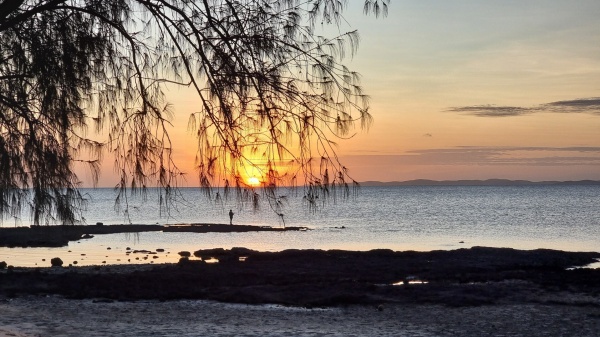 Loyalty Beach Campground QLD - Cape
