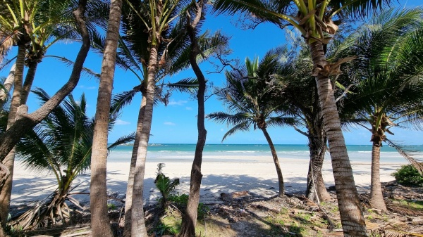 Iron Range QLD - Chilli Beach
