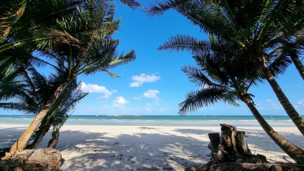 Iron Range QLD - Chilli Beach
