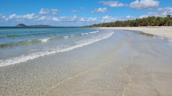 Iron Range QLD - Chilli Beach
