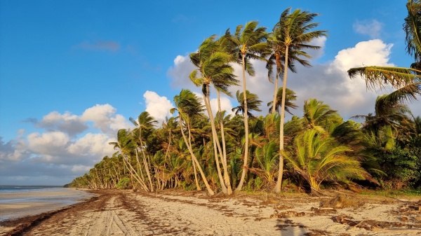 Iron Range QLD - Chilli Beach
