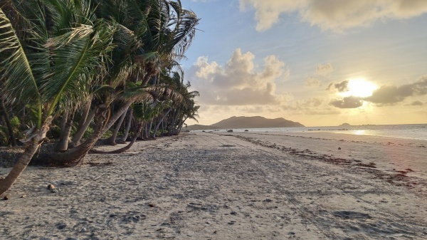 Iron Range QLD - Chilli Beach
