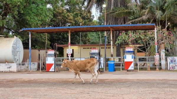 Musgrave Roadhouse QLD
