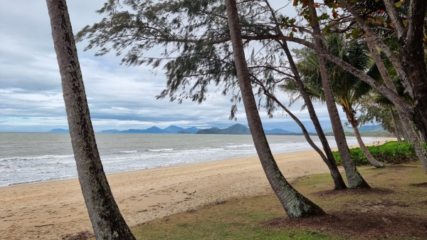 Palm Cove QLD

