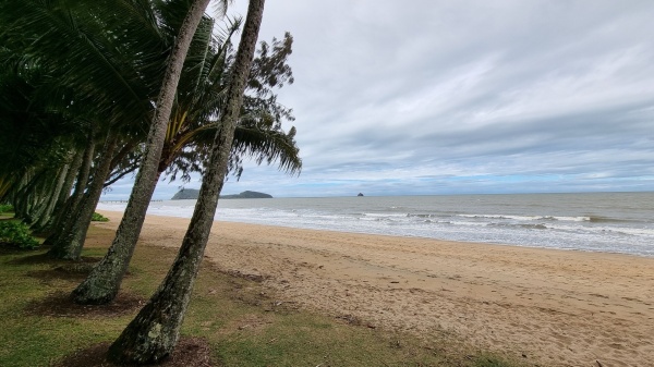 Palm Cove QLD
