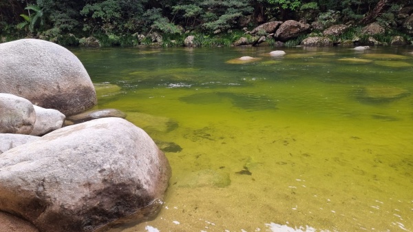 Mossman Gorge QLD
