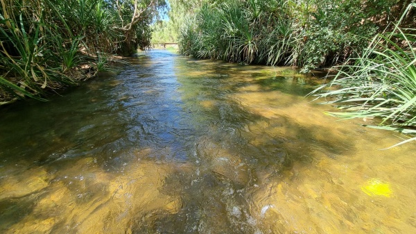 Gregory QLD
