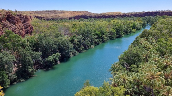 Lawn Hill QLD
