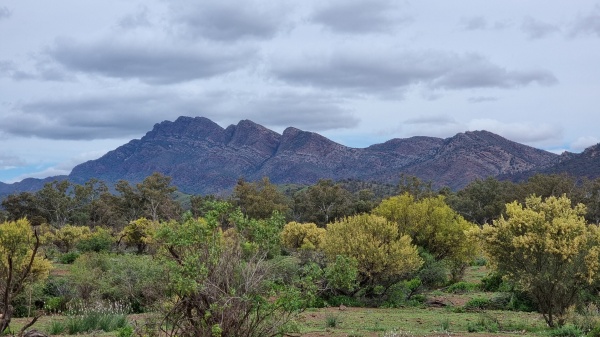 Flinders Ranges SA
