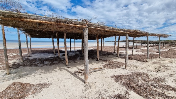 Perlubie Beach SA
