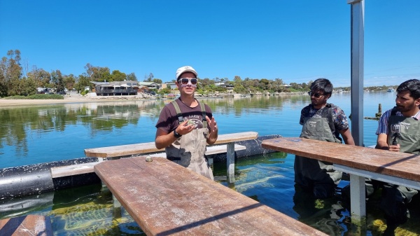 Coffin Bay - Oyster HQ
