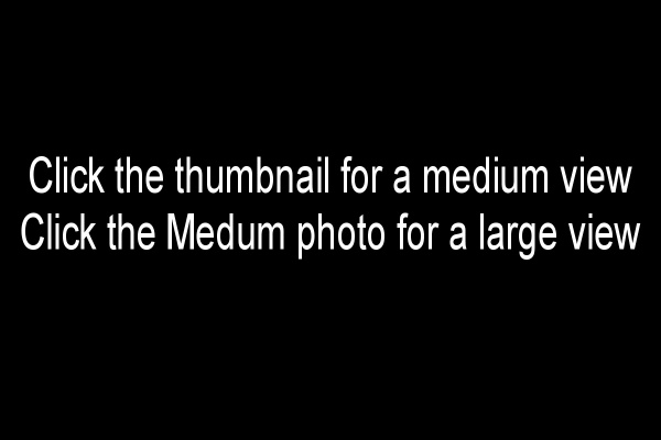 Help while viewing
