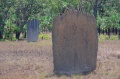 1080PIMH3588-1920.jpg