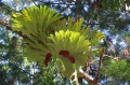 1080PIMH3863-1920.jpg