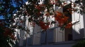 1080p-PIMH1284.jpg