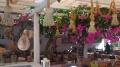 1080p-PIMH1287.jpg