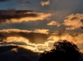 20220210_200804.jpg