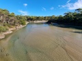 20220311_174340.jpg