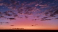 20220507_180052.jpg