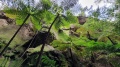 20220519_120641.jpg