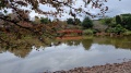 20220525_152919.jpg