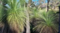 20220604_141524.jpg