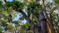 20220613_154432.jpg