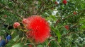 20220728_114201.jpg