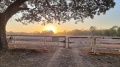 20220823_065035.jpg