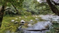 20220901_145626.jpg