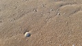 20220924_174503.jpg