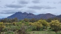 20221025_144800.jpg