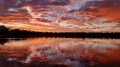 20221126_202548.jpg