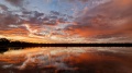 20221126_202603.jpg