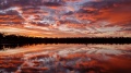 20221126_202636.jpg