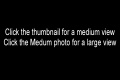 HelpImage.jpg