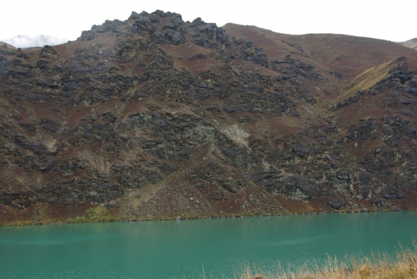 NZ  No 1
