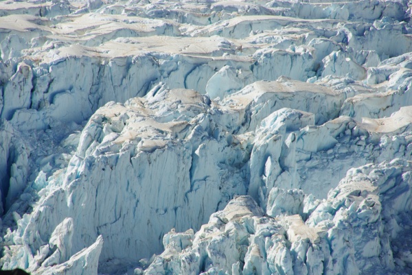 Fox Glacier
