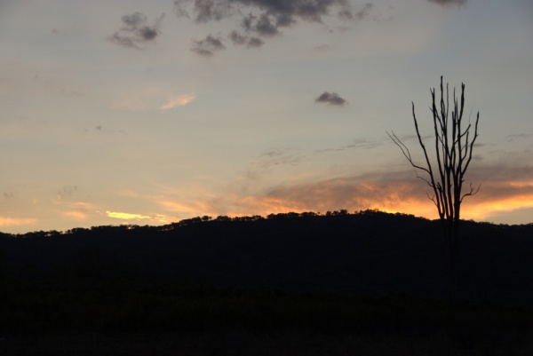 Sunset
