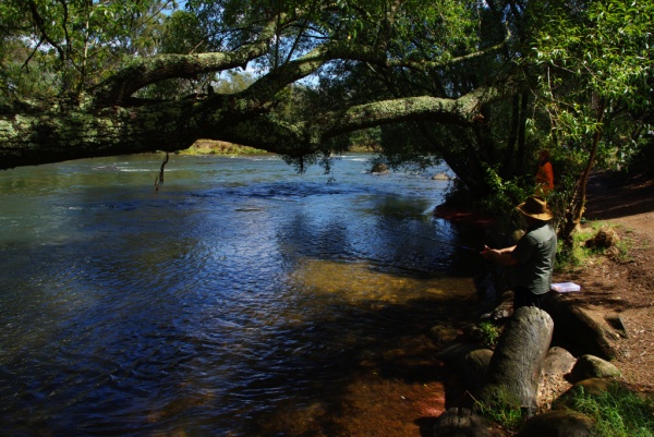Fishing
