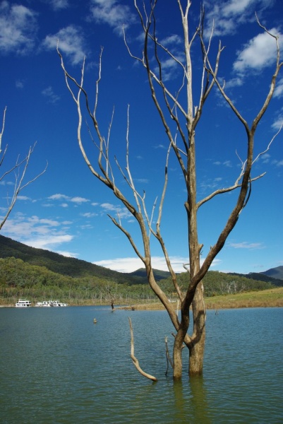 Lake
