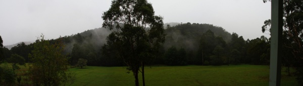The View 2
