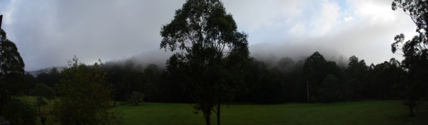 The View
