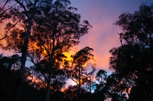 High Country - Sunrise
