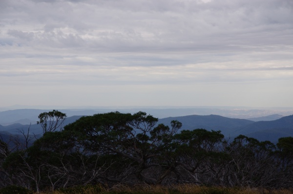 High Country - View
