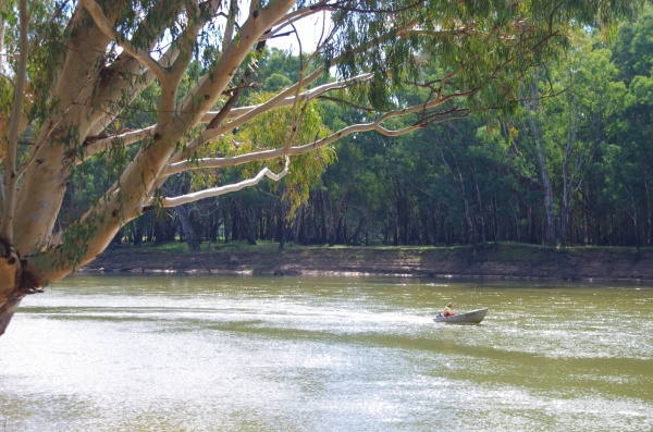 The Murray River NSW

