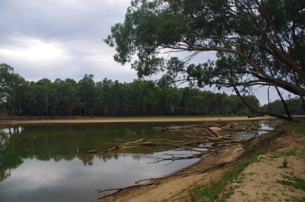 The Murray River NSW
